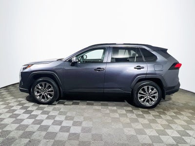 2025 Toyota RAV4 XLE Premium