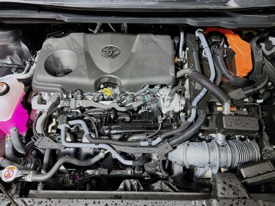2025 Toyota Sienna Platinum 7 Passenger