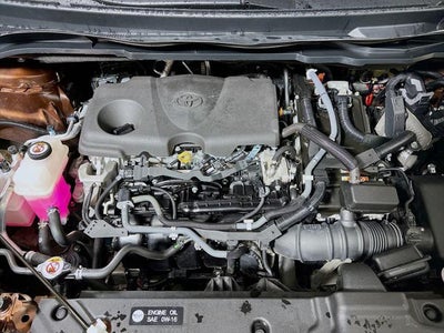 2022 Toyota Sienna XLE 8 Passenger