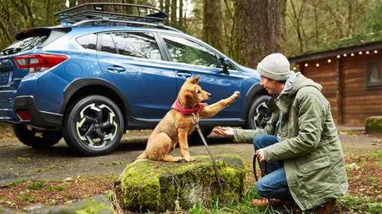 Royal Moore Subaru in Hillsboro OR