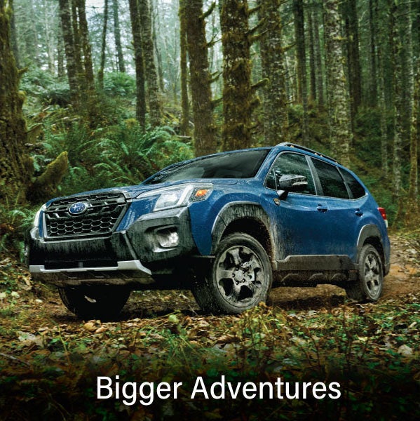 A blue Subaru outback wilderness with the words &ldquo;Bigger Adventures&ldquo;. | Royal Moore Subaru in Hillsboro OR