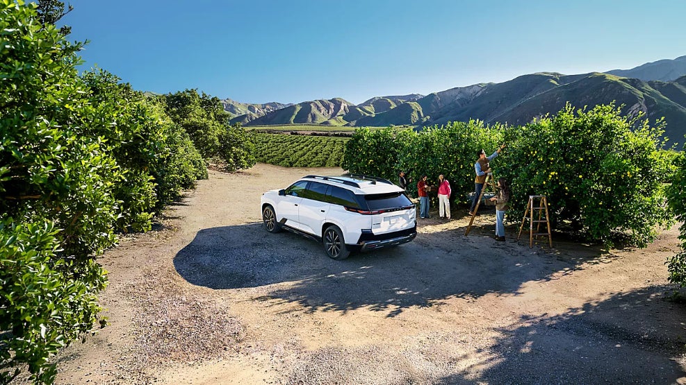 A white Subaru Getaway in the middle of an orchard while a family picks fruit.